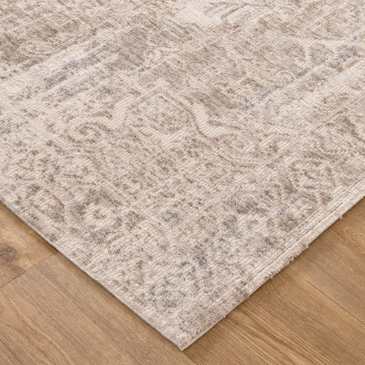 Solenne Beige & Blue Distressed Vintage Rug - S100
