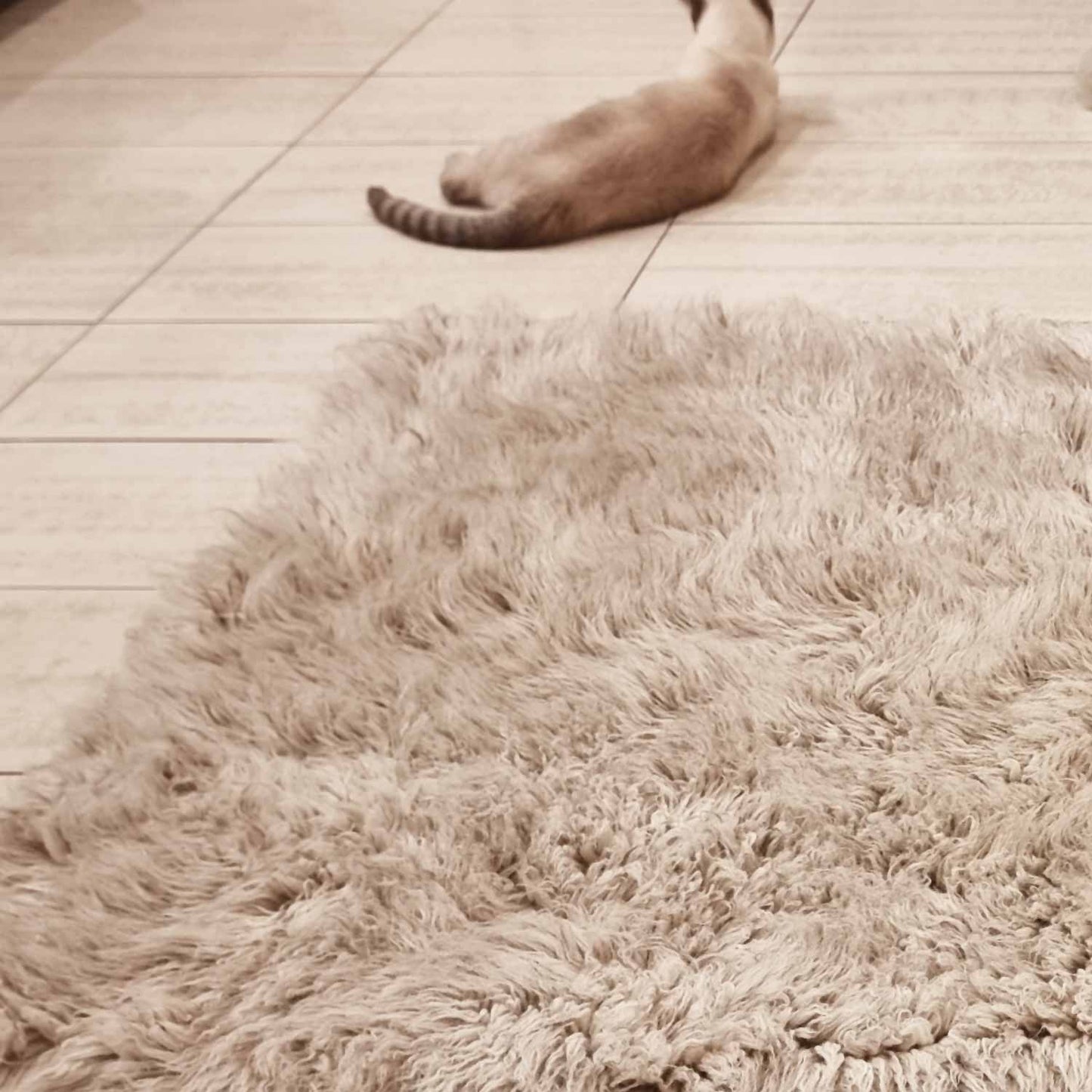 Pure New Zealand Wool 2000 GSM Cinnamon Flokati